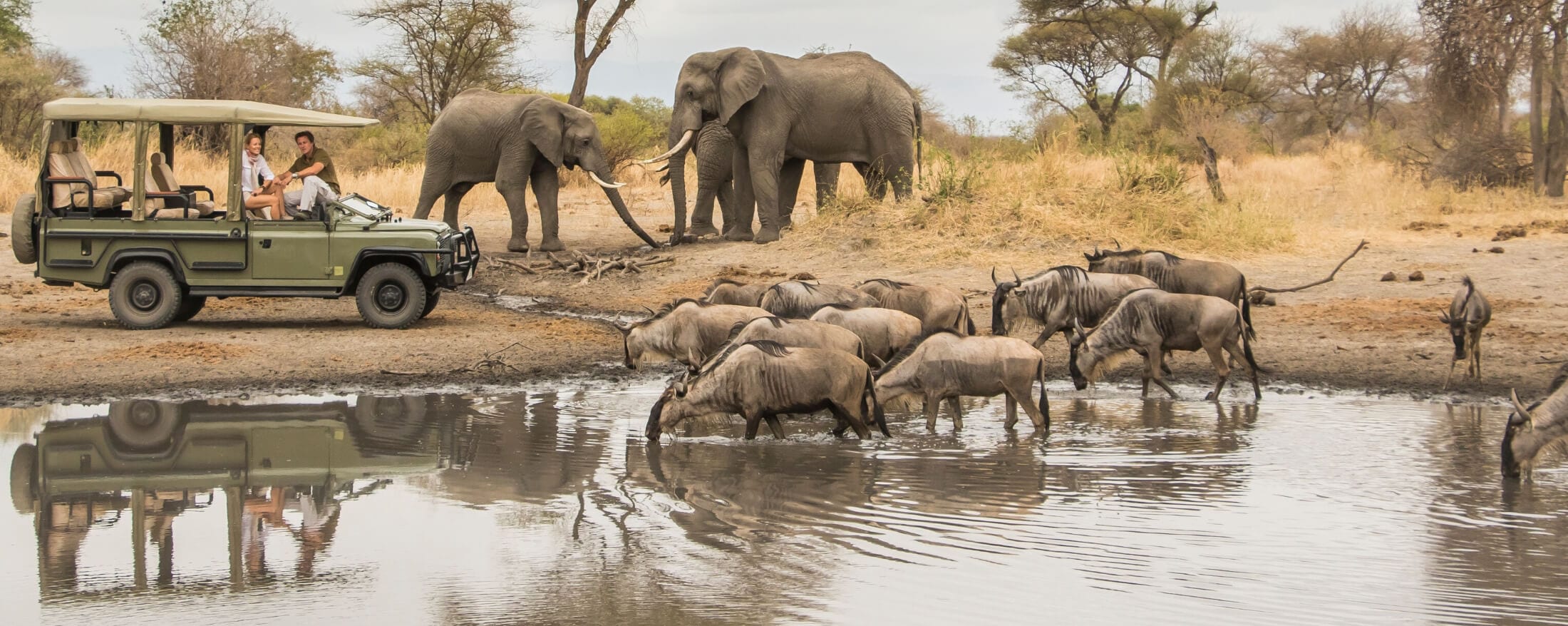 Rwanda Safaris, Africa