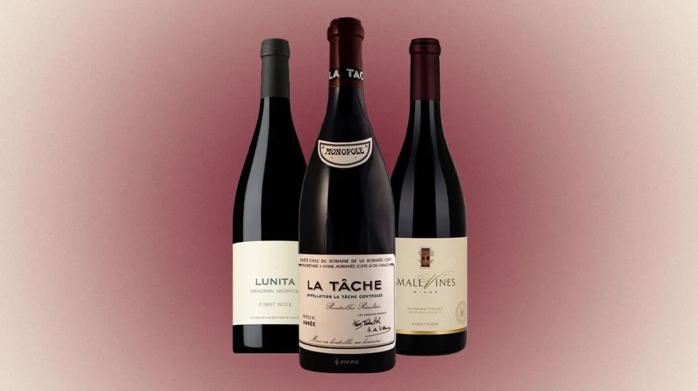 The Ultimate Guide to the Best Pinot Noir Wines in the World