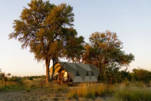 Discover Botswana’s Wilderness Mokete: A Luxury Safari Experience Like No Other